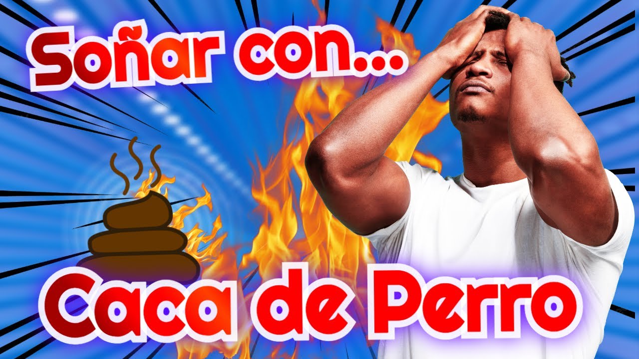 soñar limpiando caca de perro