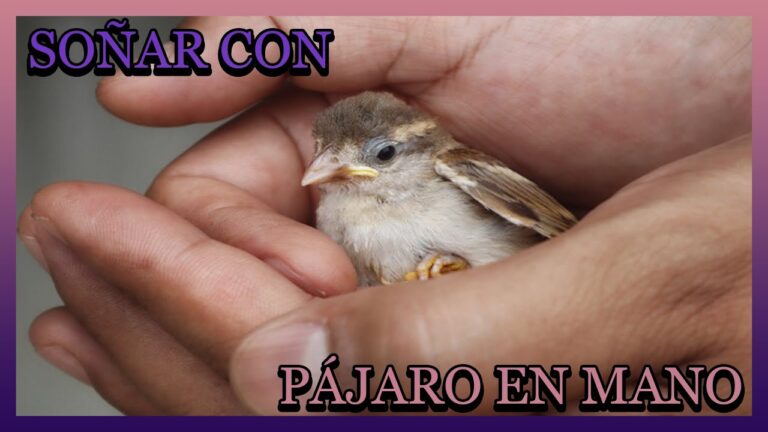 soñar que atrapas un pájaro con las manos