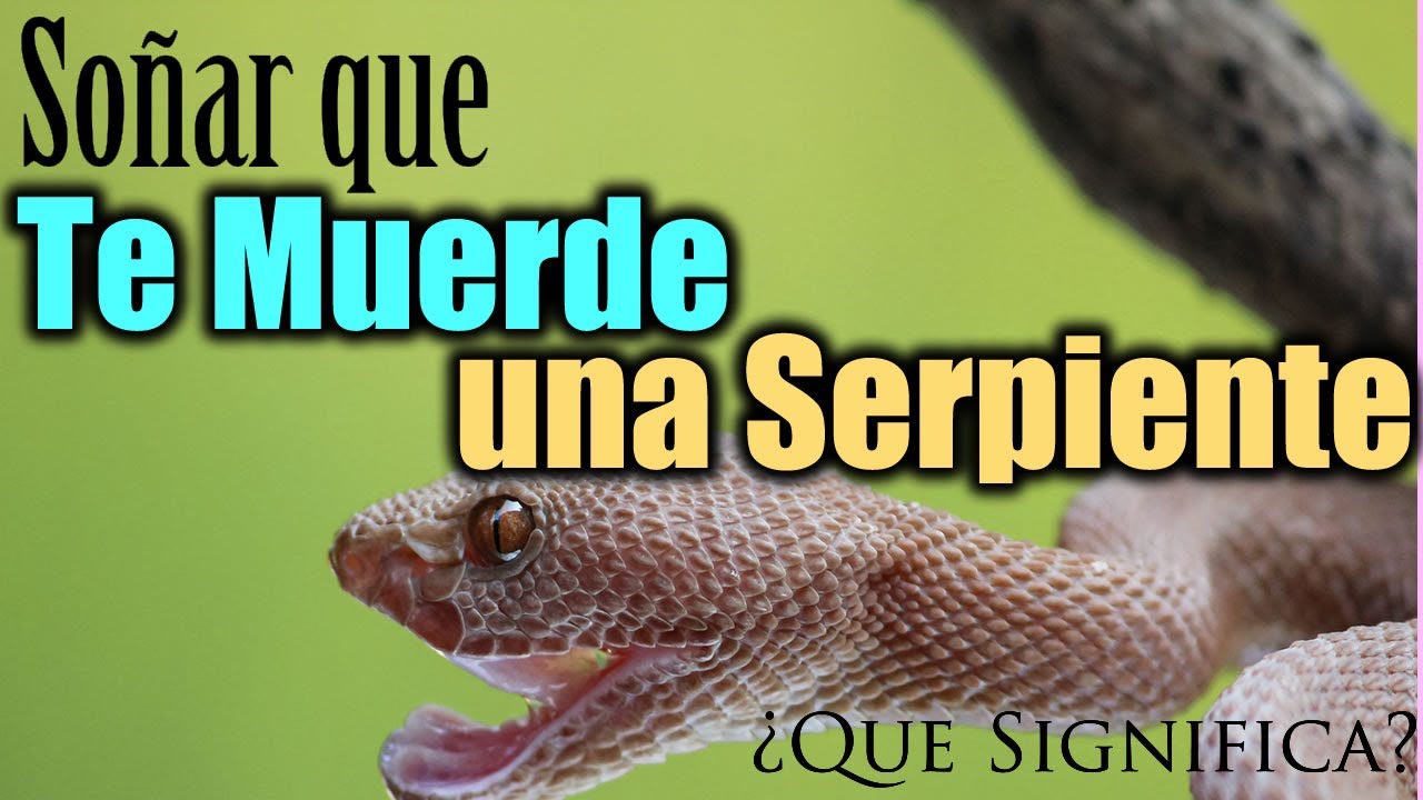 soñar que una serpiente muerde a alguien