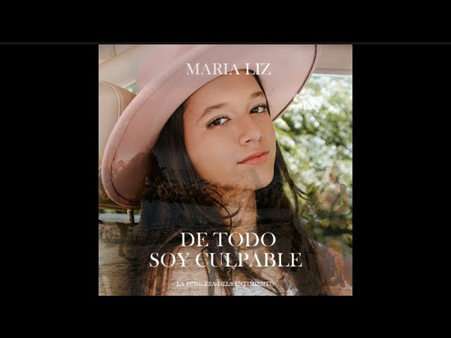 soy la culpable de todo