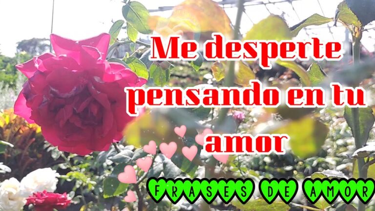 tu me haces feliz frases