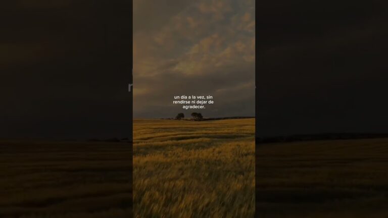 un dia ala vez frases