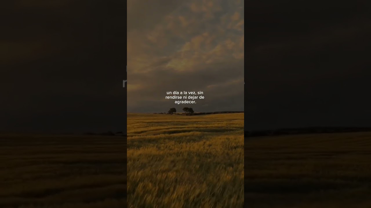 un dia ala vez frases
