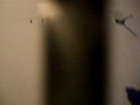 ver haciendo el amor en vivo