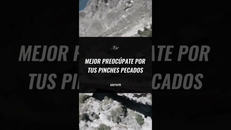 vive tu vida no la mia frases