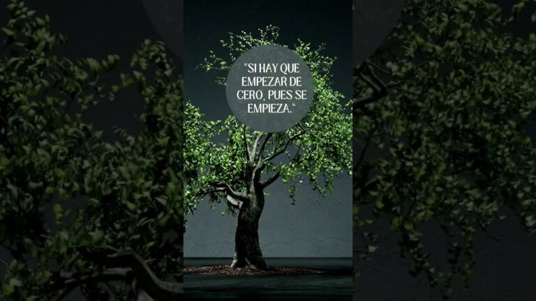 y si hay q empezar de cero pues se empieza